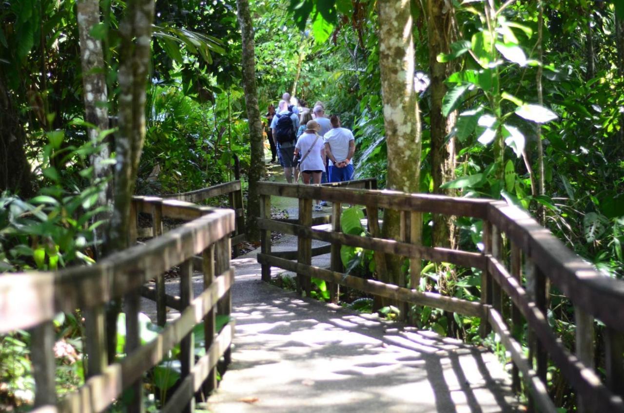 Veragua Rainforest Puerto Limon Bagian luar foto